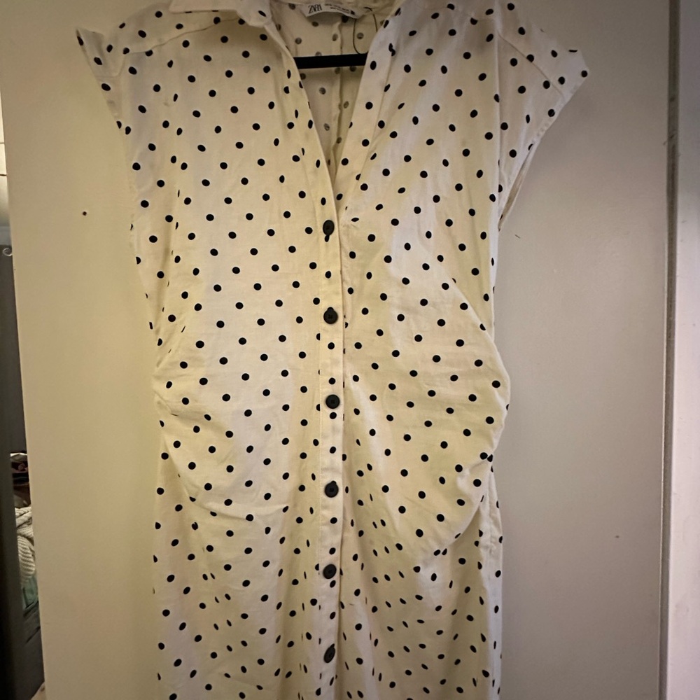 Zara Cream and Black Polka Dot dress